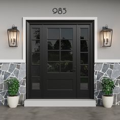 two potted plants sit in front of a black double door with glass panes