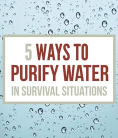 How To Purify Water - Survival Water Purification | Survival Prepping Ideas, Survival Gear, Skills & Emergency Preparedness Tips - Survival Life Blog: survivallife.com #survivallife Purify Water, By Any Means Necessary, Zombie Survival, Survival Life