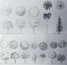 a drawing of different types of trees