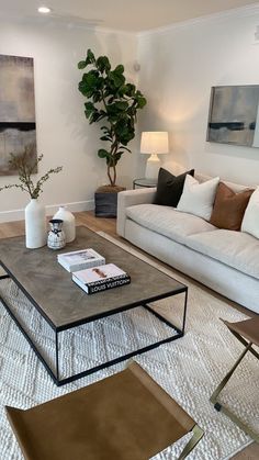 a living room filled with furniture and a plant in the middle of the room on top of a coffee table