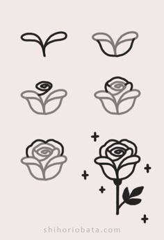 four different types of flowers with black and white lines on the bottom, one has a flower