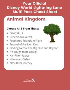 an animal kingdom character sheet for the disney world lightning lane and mulit pass chat sheet