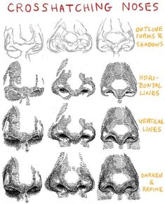 an image of cross hatching noses in various positions and sizes, including the nose