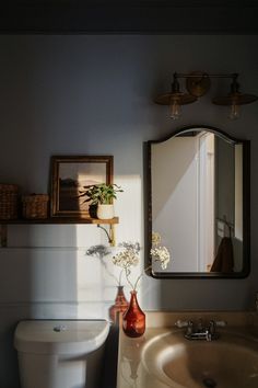 a white toilet sitting next to a bathroom sink under a mirror and a vase with flowers