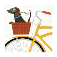 a dog riding on the back of a yellow bike with goggles in its mouth