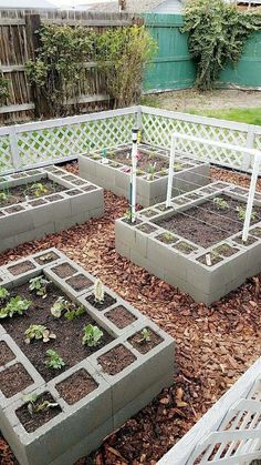 several raised garden beds with plants growing in them