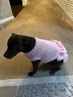 a black dog wearing a pink sweater sitting on the floor in front of a door