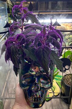 a skull shaped planter with purple flowers on it's head in a greenhouse