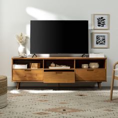 a living room scene with focus on the entertainment center and large screen tv in the corner