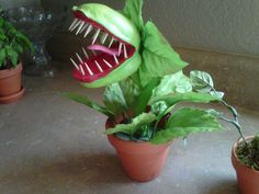 a plant with its mouth open and teeth on it's head in a potted plant