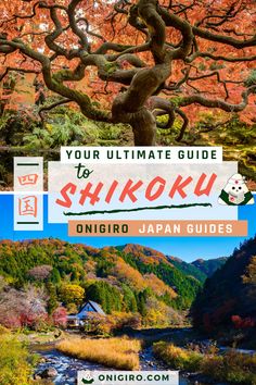 the cover of your ultimate guide to shikoku, onigiro japan guides