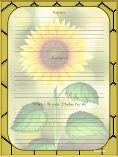 a yellow sunflower with green leaves on it's side and the words congratulations written in