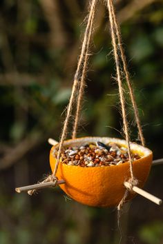 an orange hanging from a rope with seeds in it and other things on the ground