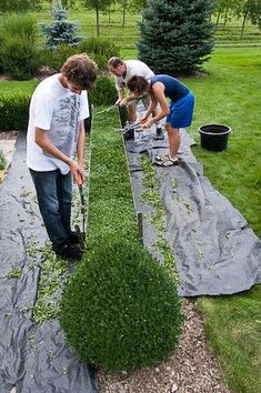 two men are working in the garden together