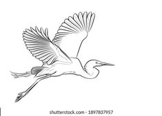 a black and white drawing of a bird flying in the sky with its wings spread