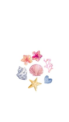 watercolor painting of seashells and starfish with pink flowers on white background