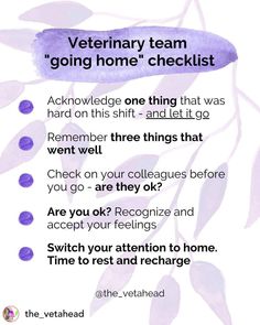 the veterinary team's home checklist is shown in purple watercolor