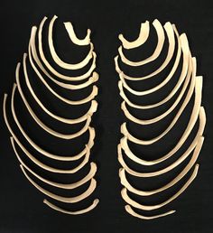 two pieces of wood are arranged in the shape of an x - ray on a black background