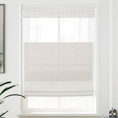 a window with white blinds in the corner and a potted plant next to it