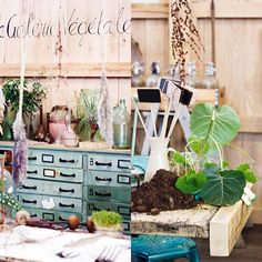 an assortment of potted plants on top of a table in a room with wooden walls