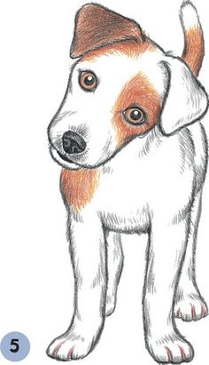 a drawing of a brown and white dog