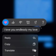 two texts that are in the same language, one is saying i love you endlessly my love