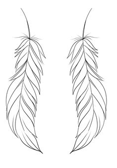 two feathers that are drawn in black and white