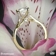 a close up view of a diamond ring on top of a pink and white flower