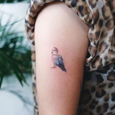 a small bird tattoo on the right upper arm and lower arm, sitting on a woman's left arm