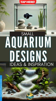 small aquarium designs ideas and inspiration for beginners to use in their home or office