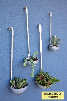 the facebook page has three planters hanging on it's wall and two plants in them