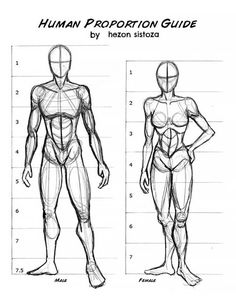 the human proportion guide is shown in black and white, as well as an image of a