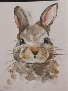 a watercolor painting of a rabbit's face