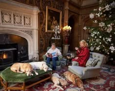 two dogs laying on the floor in front of a christmas tree with people sitting around