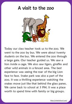 the zoo book with an elephant and giraffe