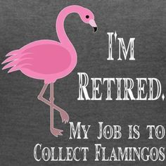 i'm retired, my job is to collect flamingos