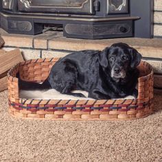 a large black dog laying on top of a bed in front of a tv set