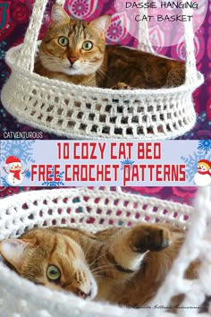 a cat laying in a crochet bed with text overlay that reads, 10 cozy cat bed free crochet patterns