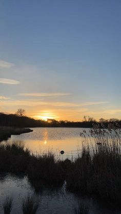 the sun is setting over a body of water with reeds in front of it