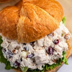 chicken salad sandwich with cranberries and lettuce on ciabatta bread