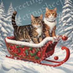 two cats are sitting in a sleigh on the snow