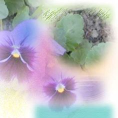 two purple flowers sitting next to each other on top of a green leafy plant