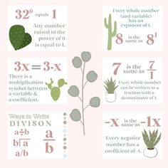 an info sheet with different types of plants and numbers on the front, including two cactuses