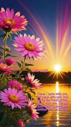 the sun shining over water with pink flowers in front of it and a quote from john 1 13