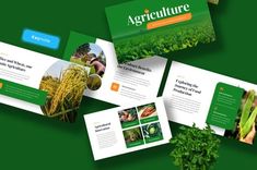 three different presentation slides with green background