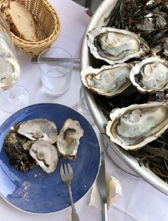 oysters on the half shell with wine glasses and utensils next to them