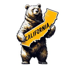 a bear holding a california sign with the word california on it's chest and arms