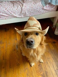 a brown dog wearing a cowboy hat on top of a wooden floor next to a bed