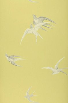 four white birds flying in the sky on a yellow wallpapered room with light green walls