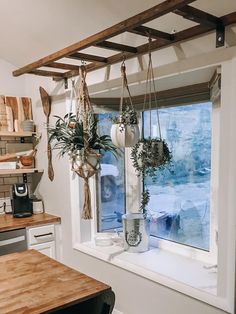 some plants hanging from hooks on a window sill in front of a kitchen counter